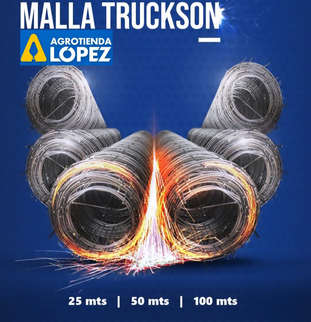 Wintry Mountain Landscape