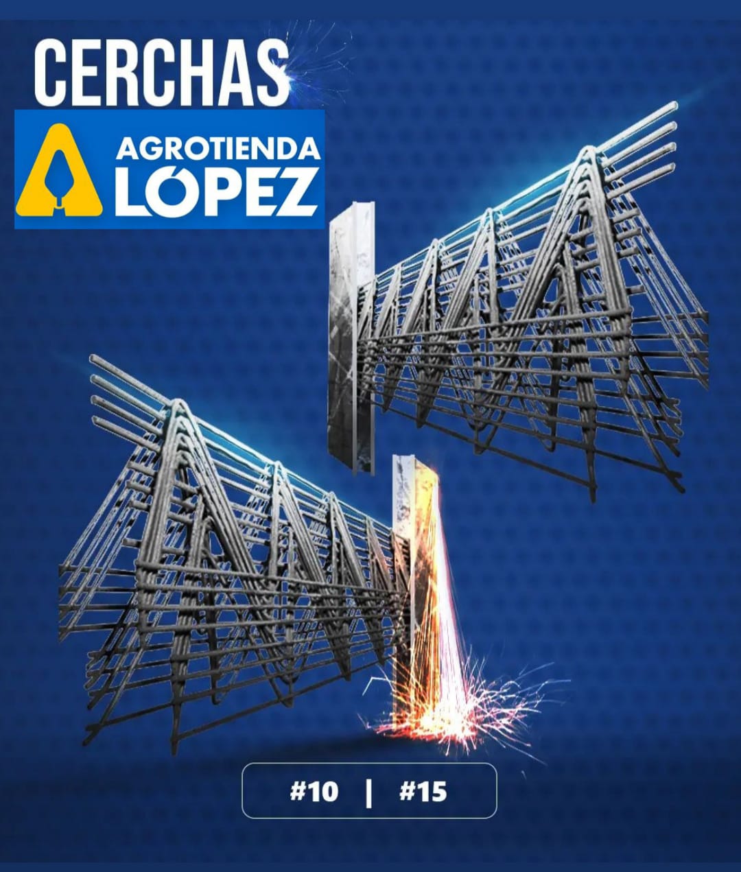 Wintry Mountain Landscape